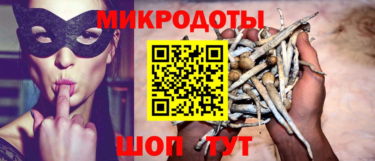 Благодарный  Псилоцибиновые грибы прущие грибы  Вход с VPN 